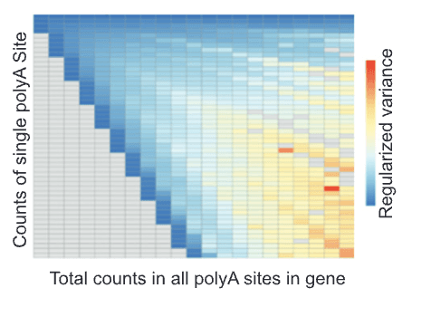 Publication image for Multiplexed single-cell characterization of alternative polyadenylation regulators