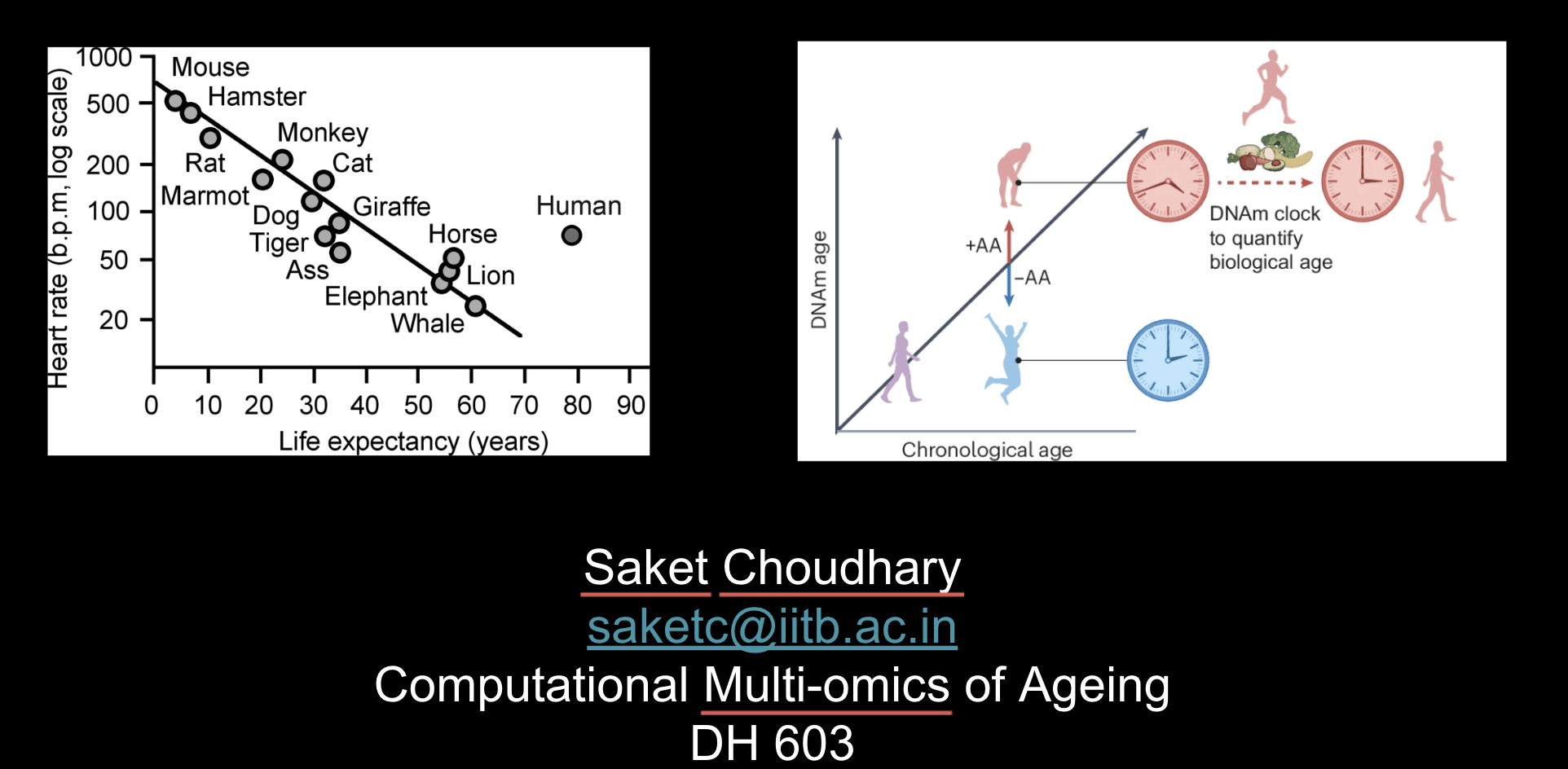 DH603: Computational Multi-omics of Ageing